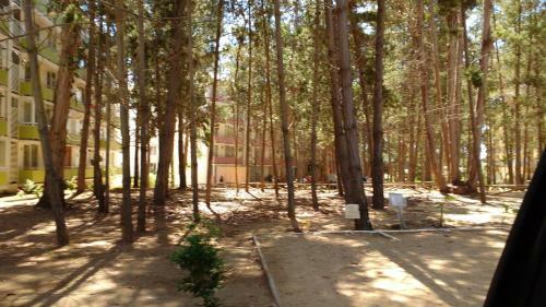 Apartamento Cond. Bosques Del Tabo