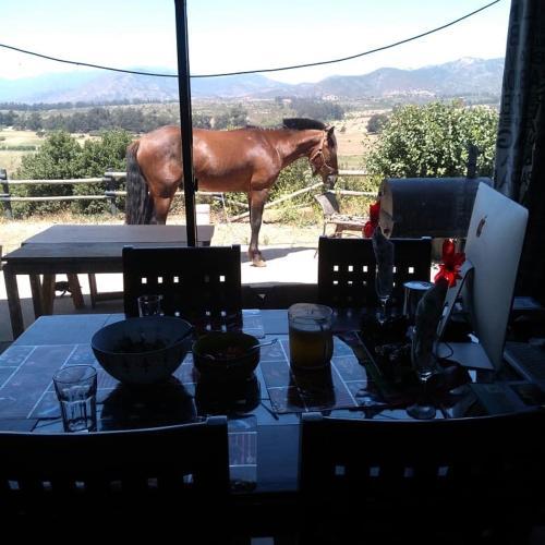 Bed & Breakfast Hostal Campestre