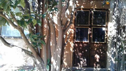 Apartamento Alojamiento En Valle Del Elqui