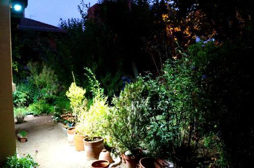 Hostal Hostel Mala Hierba
