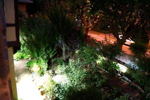 Hostal Hostel Mala Hierba