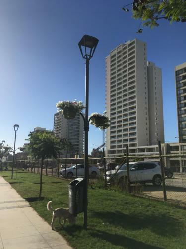 Apartamento Departamento Sun City Lll