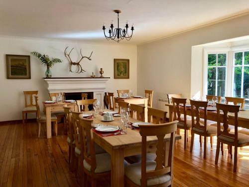 Lodge Hoster�a Pionero