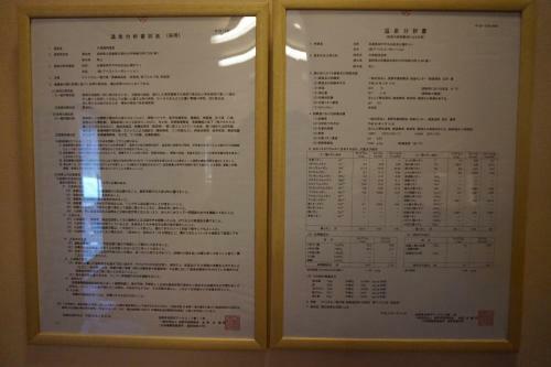 Hotel Hakuba Ryujin Onsen
