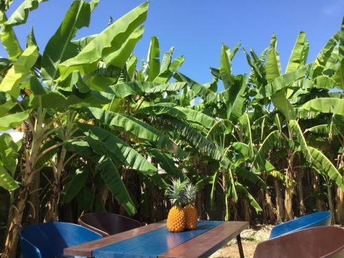 Agroturismo Iroha