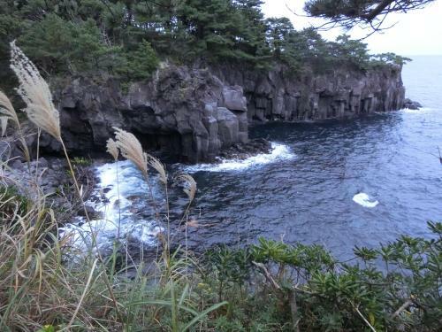 Bed & Breakfast Pension Izukogen