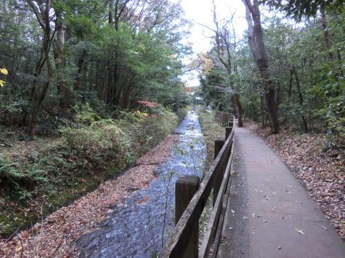 Bed & Breakfast Pension Izukogen