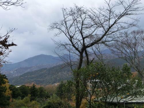 Bed & Breakfast Pension Izukogen