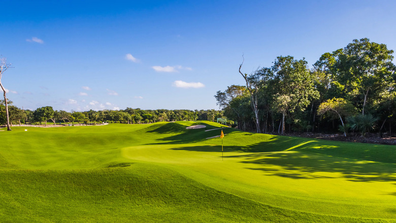 Hotel Iberostar Selection Paraiso Lindo
