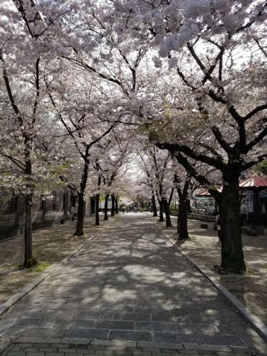 Apartamentos Glanz Kei Gion Shinmonzen