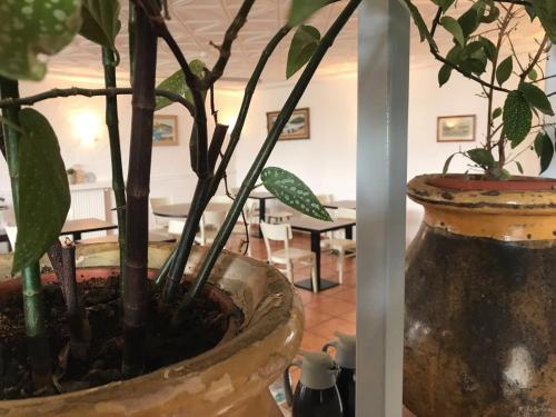 Hostal El Ranxo