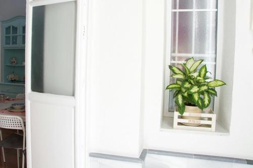 Apartamento Cadiz Centro Historico
