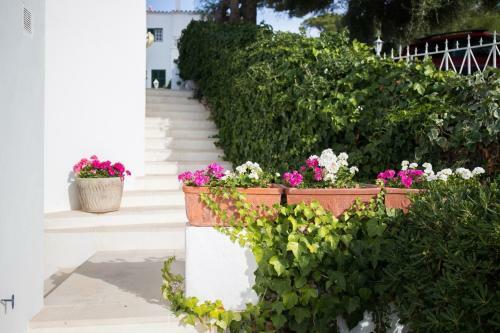 Apartamento Gama