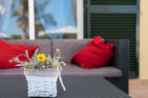 Chalet Con Piscina En Menorca