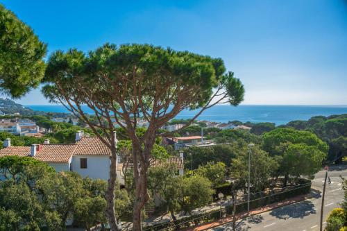 Apartamento D-9 Calella De Palafrugell 6 Pax