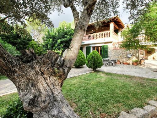 Finca Son Flora