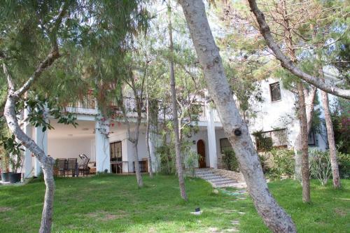 Chalet Cala Palmera