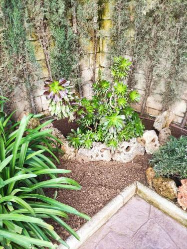 Agroturismo Alojamientos Rurales La Esperanza