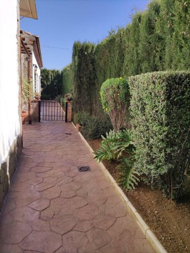 Agroturismo Alojamientos Rurales La Esperanza