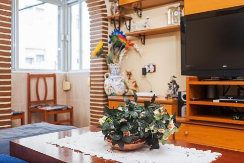 Apartamento Oliva