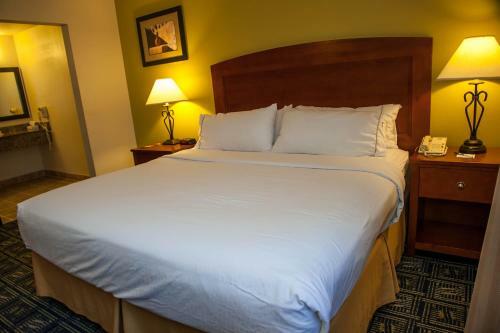 Hotel Holiday Inn Express Tucson-airport