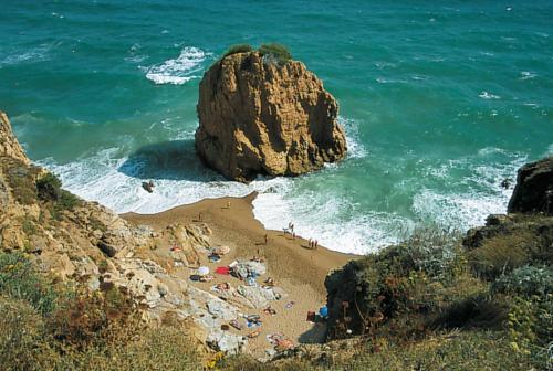 Ferienhaus Mit Pool Playa De Pals (gerona) 273s