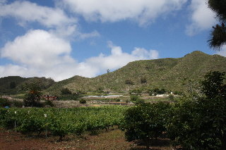 Apartamentos Finca El Vergel Rural