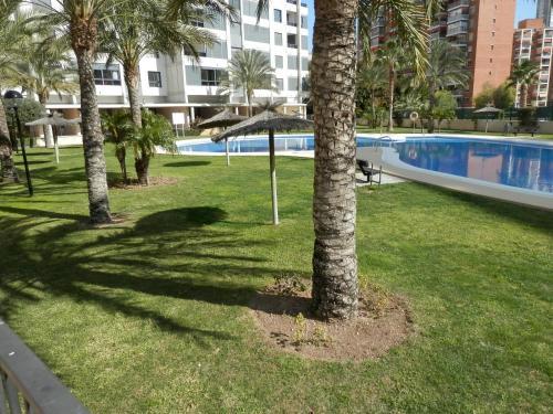Apartamento Gemelos 26 - Fincas Benidorm