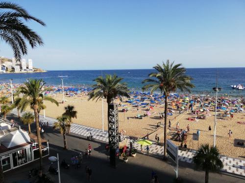 Apartamento Levante Beach Seafront Blueline Studio