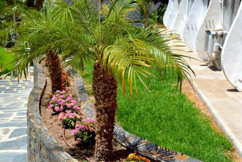 Apartamento Playmon Park