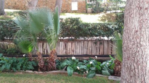 Apartamento Playmon Park 2-4