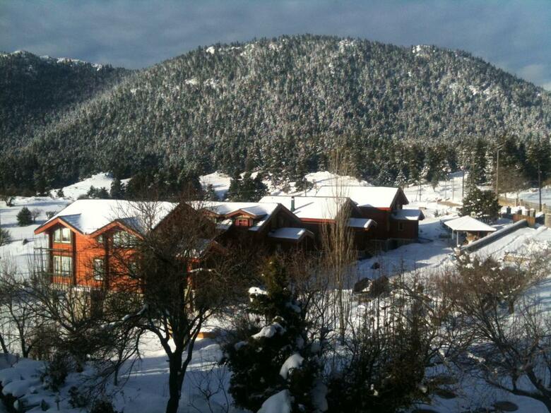 Boutique Hotel Skamnos