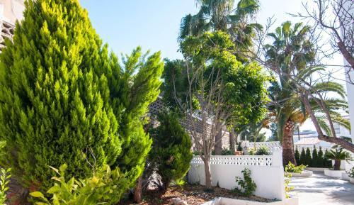 Villa Belvic 4
