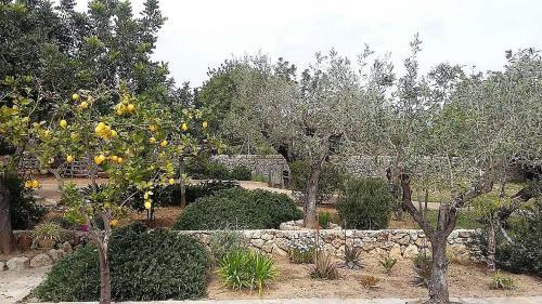 Finca Alquer�a