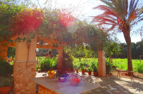 Villa Son Antem