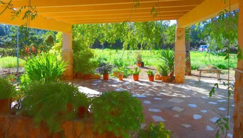 Villa Son Antem