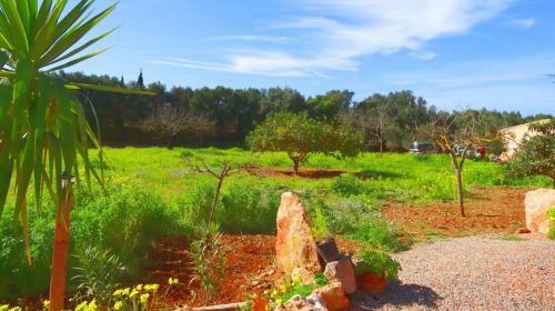 Villa Son Antem