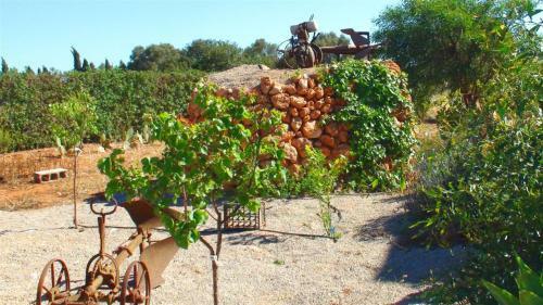 Finca Olivia