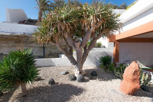 Classy Bungalow With Pool & 300mb, 500m From Sea