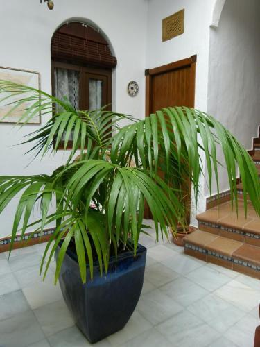 Hostal Santa Catalina