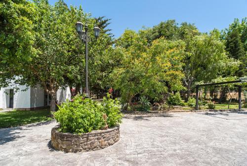 Apartamento La Jandeta 5