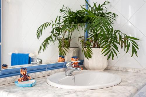 Apartamento Piso Ana