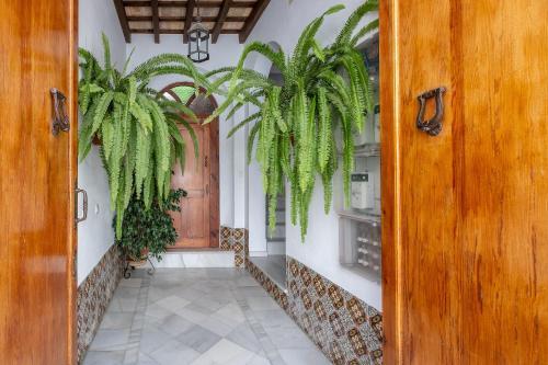 Apartamento Casa Pepa
