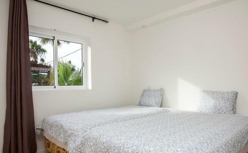 Billabong Surf Apartments