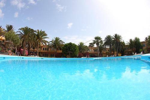Apartamento Dunas Mango