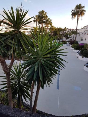Apartment Calle Hercules