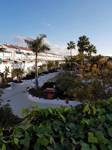Apartment Calle Hercules