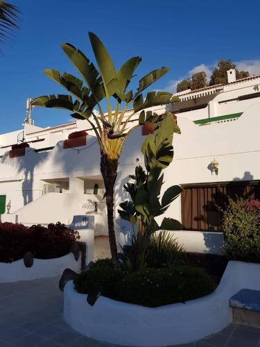 Apartment Calle Hercules