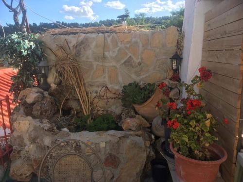 Hostal Posada De Pedalillo