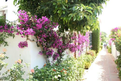 Apartamento Villacana 2106